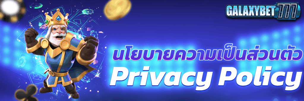 นโยบายความเป็นส่วนตัว